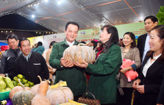Doanh nghiệp nhỏ và vừa Lào Cai tăng cường tiếp cận thị trường