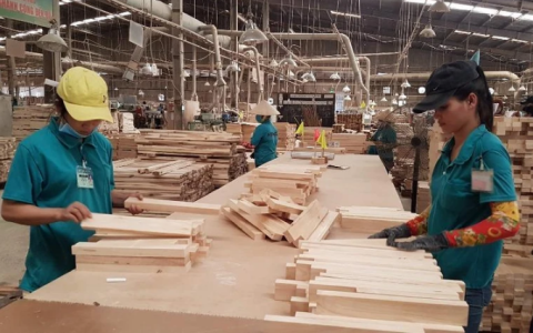 What challenges is Vietnam's timber industry facing?