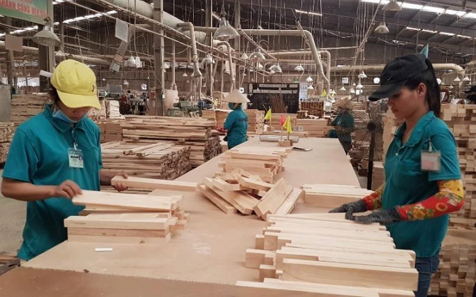 Vietnamese businesses that want to export timber and timber products to the EU will have to comply with the EUDR anti-deforestation regulation