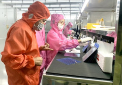 Phú Thọ: Sản xuất công nghiệp giữ vai trò thúc đẩy tăng trưởng kinh tế