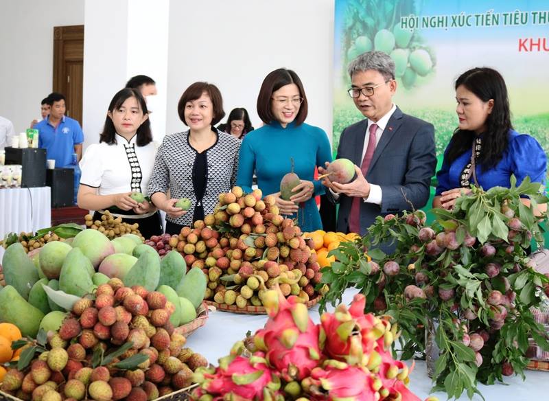 Son La province focuses on attracting many investment projects in the field of agriculture