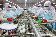 Chứng khoán KB Việt Nam đánh giá triển vọng ngành thủy sản năm 2024