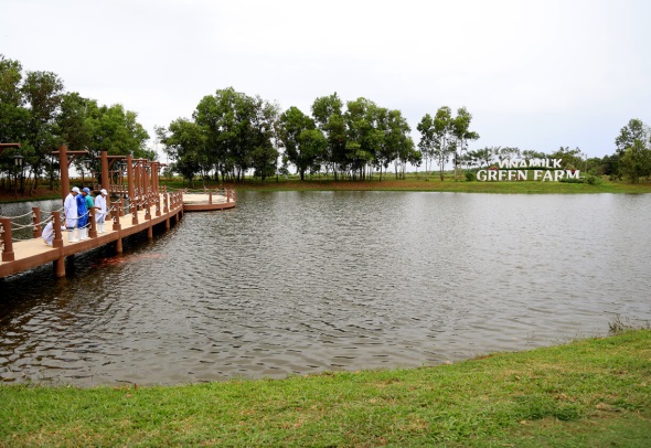 Cool green space at Vinamilk Tay Ninh Green Farm. (Photo: Vi Nam)