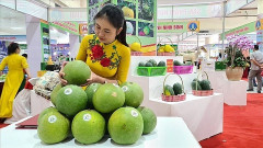 Hà Nội quảng bá nhiều sản phẩm hàng nông sản, đặc sản vùng miền