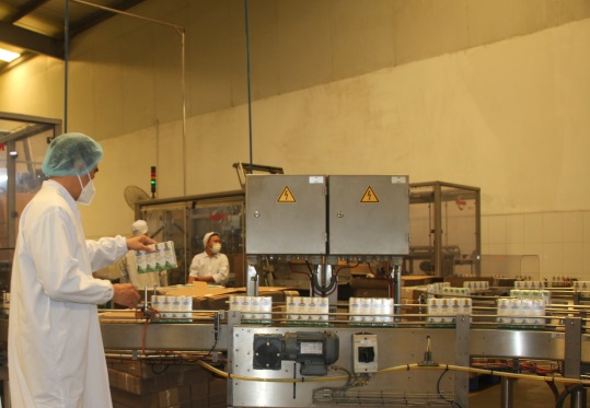 Fresh milk packaging line at Can Tho Dairy Factory. (Photo: Vi Nam)