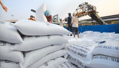 161 thương nhân được cấp Giấy chứng nhận xuất khẩu gạo