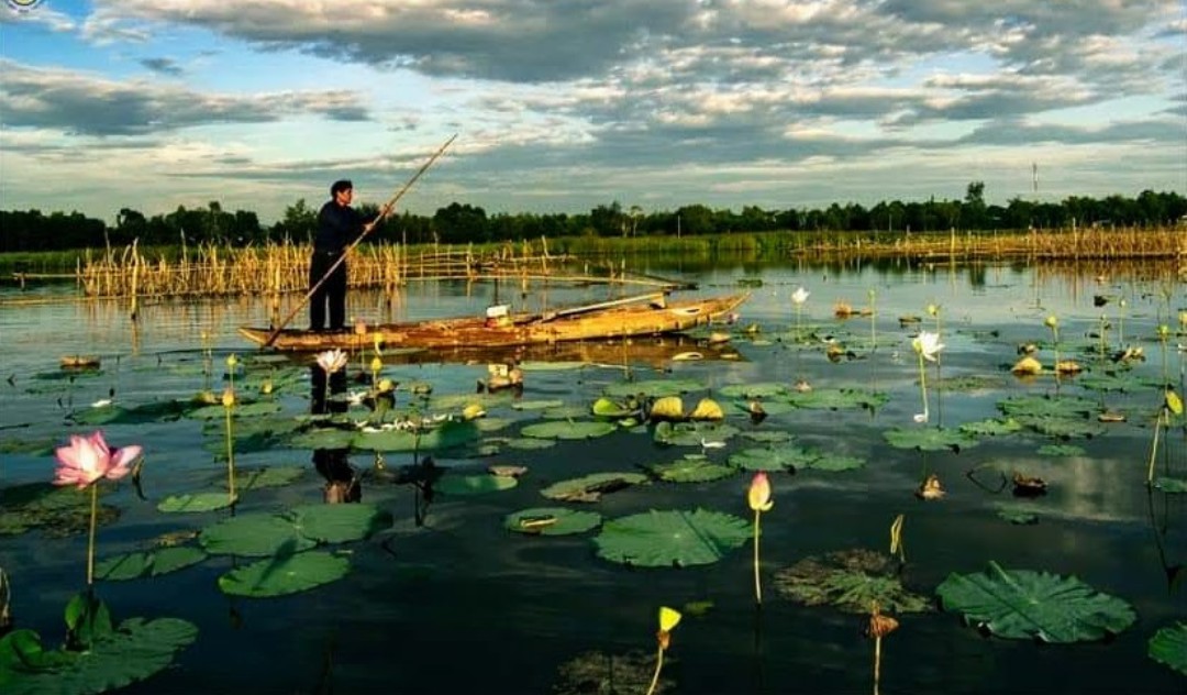 Recently, the leaders of Tam Ky City proposed to invest nearly 120 billion VND to tap the potential of Dam River and develop eco-tourism