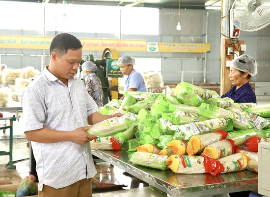 Rice noodle product of Hung Lo rice noodle cooperative, Hung Lo commune, Viet Tri city