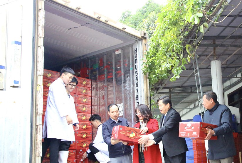 Leaders of Hoa Binh Provincial People’s Committee and representatives of departments, sectors, and localities with exported grapefruit, together with RYB Joint Stock Company, loaded the products onto trucks for export