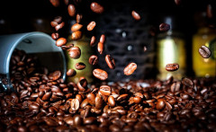 Nguyên nhân đẩy giá cà phê xuất khẩu lên cao nhất 30 năm qua