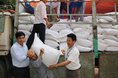 Xuất hơn 7.000 tấn gạo cho 9 địa phương để hỗ trợ người dân ăn Tết