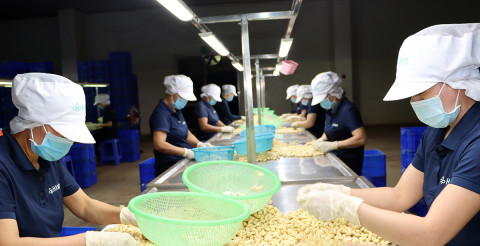 Binh Phuoc Boasts 157 Products Certified with OCOP