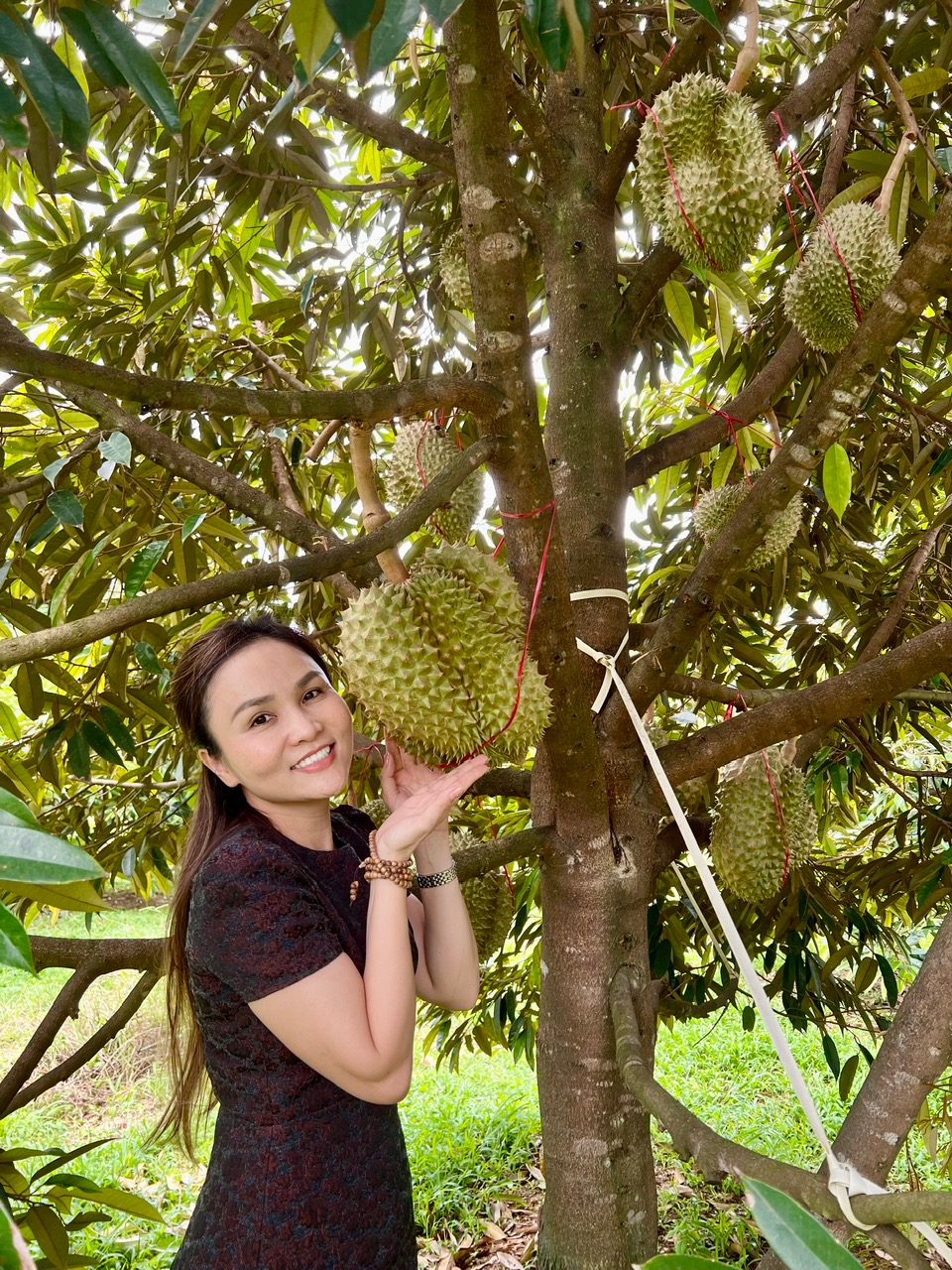 Mrs. Huynh Ngoc Bich Dao at the Durian Farm meets the Global Gap certification standard of Dong Xanh Farm in Lam Dong province, Vietnam