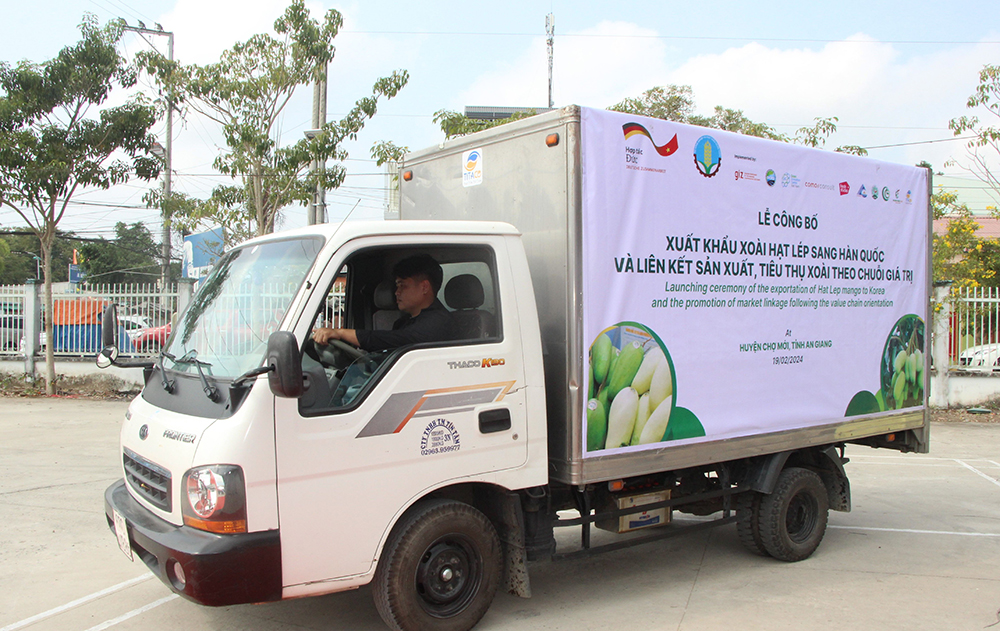 Performing the ceremony of packing the boxes, loading the goods onto the truck, and starting the truck carrying the exported mangoes