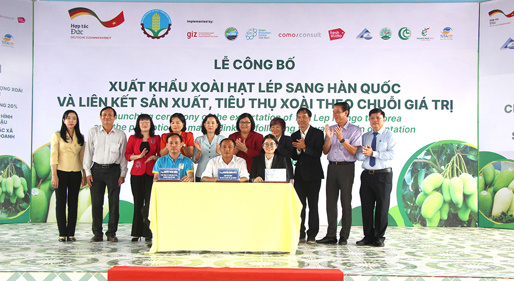 The signing of a memorandum of understanding between Cu Lao Gieng GAP Cooperative and Hoang Phat Fruit Co., Ltd. and Tin Tam Investment and Trade Development Co., Ltd