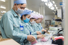 Hà Nội: 99,2% doanh nghiệp đã mở xưởng để sản xuất trở lại sau Tết