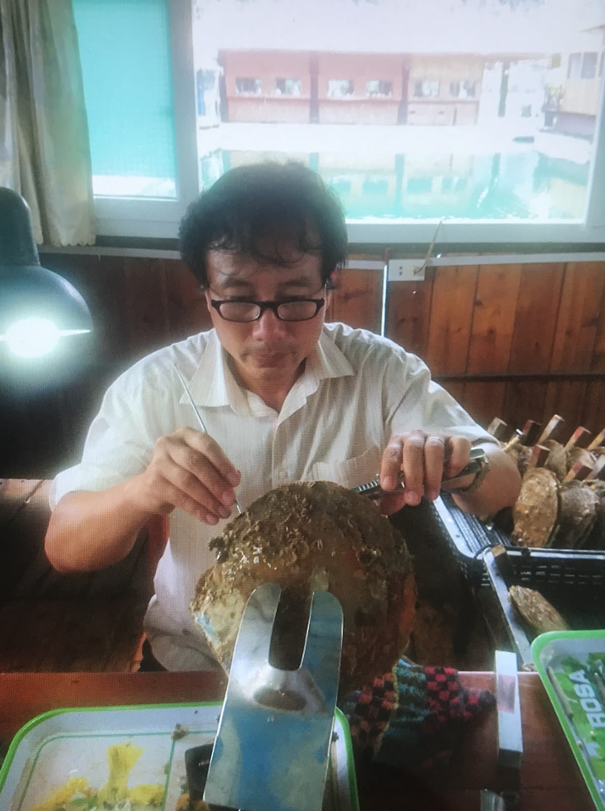 Nghệ nhân Lê Nam Trung đang cấy nhân tạo ngọc loài trai Maxima.