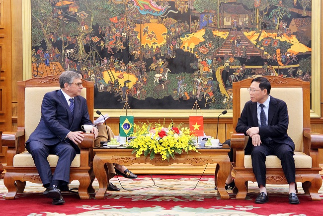 Chủ tịch UBND tỉnh Lê Ánh Dương và Đại sứ đặc mệnh toàn quyền Brazil tại Việt Nam Marco Farani trao đổi tại buổi tiếp.