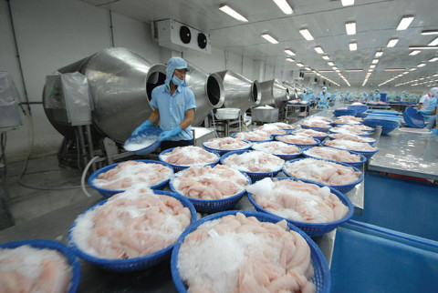 VASEP: Many factors for Pangasius fish to “reach” the 2024 growth target