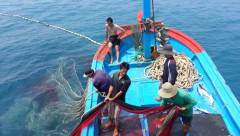 Tháng 4/2024 là cơ hội cuối cùng để Việt Nam gỡ "thẻ vàng" cho hải sản