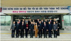 Đoàn công tác của tỉnh Yên Bái làm việc với chính quyền thành phố Donghae, Hàn Quốc