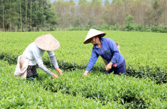 Phú Thọ: Các làng nghề thích ứng trong xu thế hội nhập