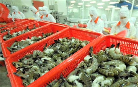 Important seafood industry groups exported to Australia