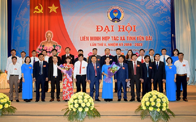 BCH Liên minh HTX tỉnh Yên Bái nhiệm kỳ 2028 - 2023