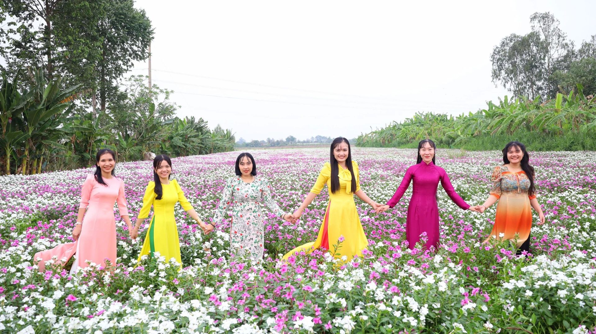 Giáo viên Trường THPT Thuận Hưng, quận Thốt Nốt đến vườn hoa dừa cạn để lưu lại hình ảnh đẹp, cũng như quảng bá cảnh đẹp của quận nhà.