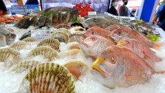 Việt Nam - Nhật Bản kết nối kinh doanh lĩnh vực thủy hải sản