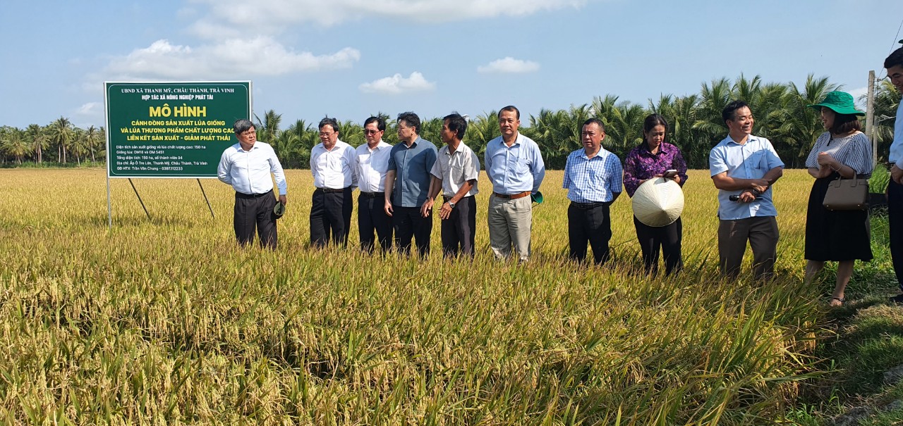 Thứ trưởng Trần Thanh Nam cùng Trung tâm khuyến nông quốc gia đi thăm mô hình tại HTX Phát Tài, Châu Thành, Trà Vinh