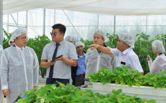 Hàn Quốc sẽ thông qua các dự án hỗ trợ phát triển nông nghiệp Việt Nam