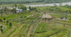 Trang trại DTH Farm- mô hình doanh nghiệp hợp tác với hộ dân trong phát triển nông nghiệp xanh tuần hoàn