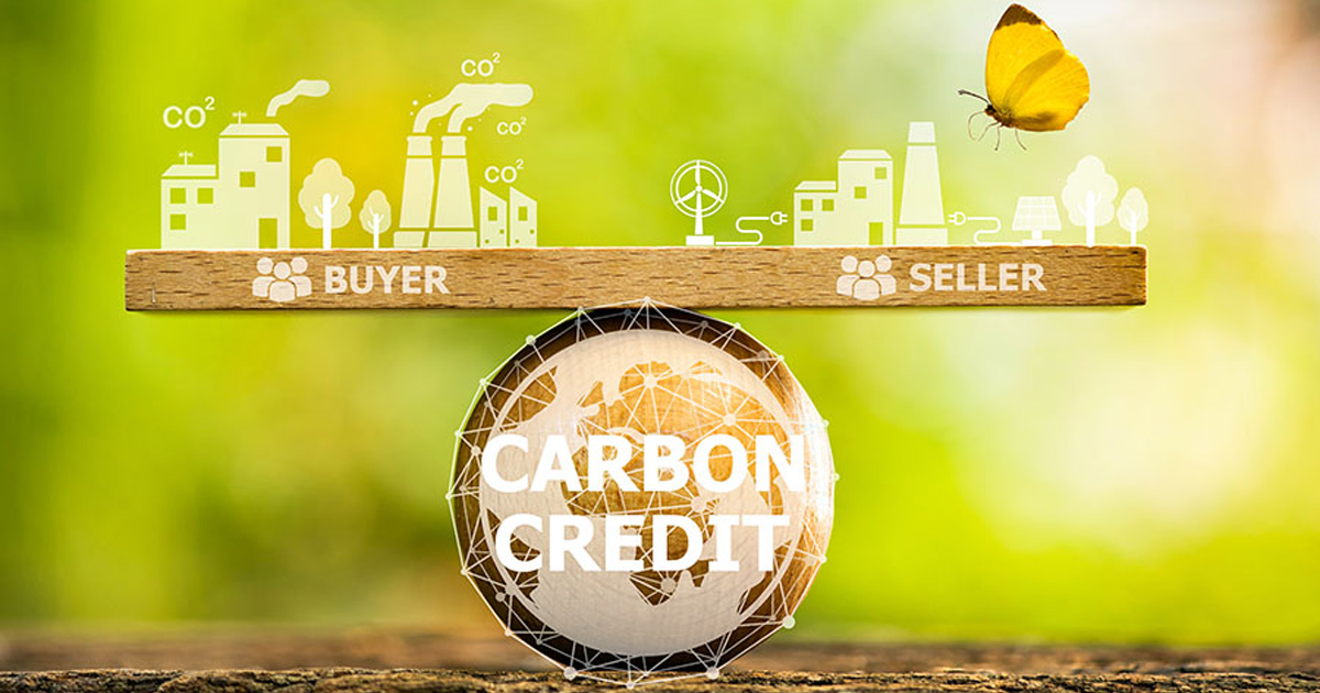 Thị trường carbon tự nguyện có thể là một yếu tố quan trọng giúp chúng ta đẩy nhanh quá trình chuyển đổi sang nền kinh tế cân bằng phát thải.