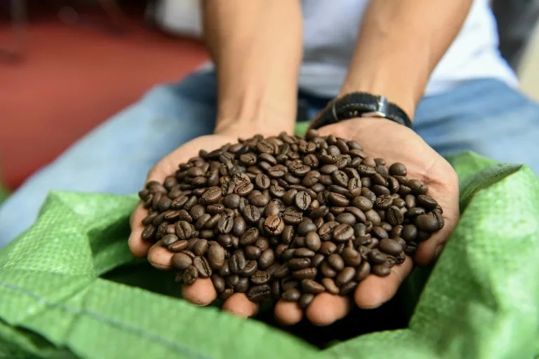Giá cà phê nhân tăng vọt, nông dân lại không thể hưởng lợi do đã bán sớm sau thu hoạch