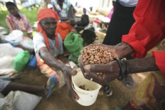 Quan ngại giá lương thực tiếp tục tăng do nóng lên toàn cầu