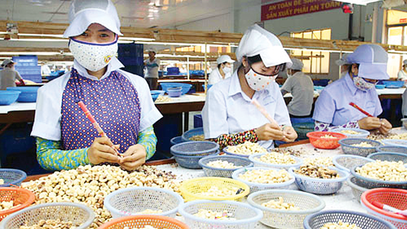 Tổng kim ngạch xuất nhập khẩu hàng hóa Việt Nam - Campuchia tăng mạnh