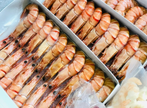 Shrimp exporters face US countervailing duty (CVD) risk