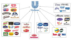 Chiến lược kinh doanh mới của Unilever