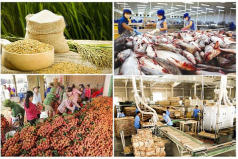 What is driving the agricultural sector to make a breakthrough in export activities?