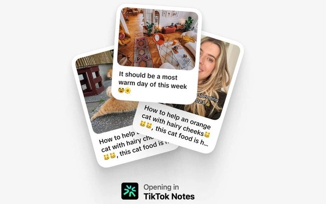 TikTok sắp ra mắt ứng dụng chia sẻ ảnh cạnh tranh với Instagram. Ảnh minh họa