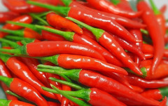 Xuất khẩu ớt sang Trung Quốc tăng mạnh, chiếm 88% lượng xuất khẩu