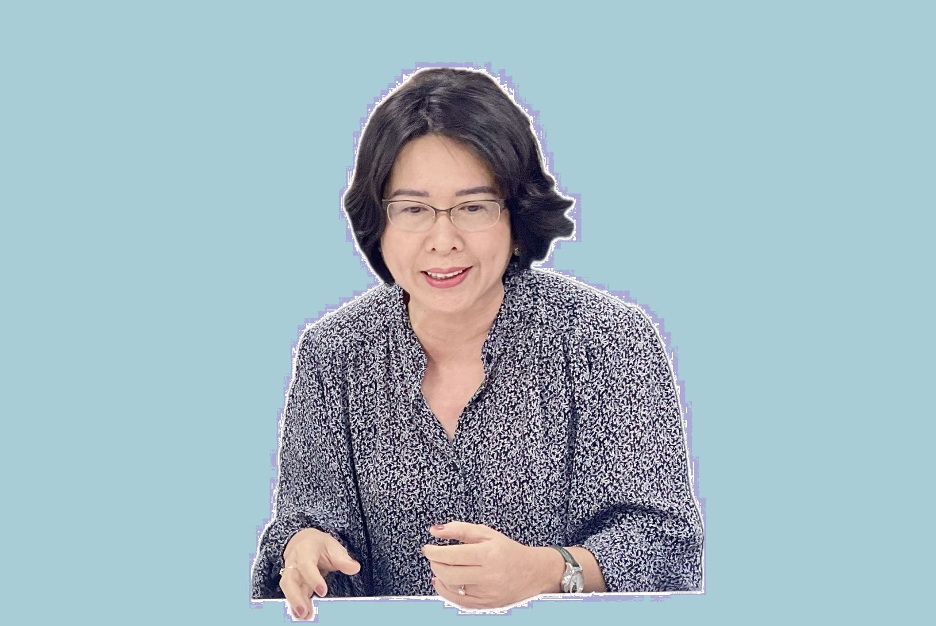 TS. Trần Hồng Minh - Viện trưởng Viện nghiên cứu quản lý kinh tế Trung ương (CIEM)