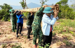 Lốc xoáy đi qua, bộ đội biên phòng tỉnh Quảng Trị giúp dân dựng lại ngôi nhà bị sập