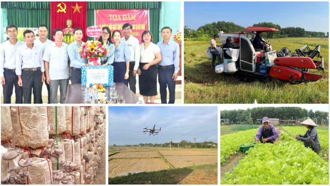 Some outstanding activities of Dong Thanh Cooperative