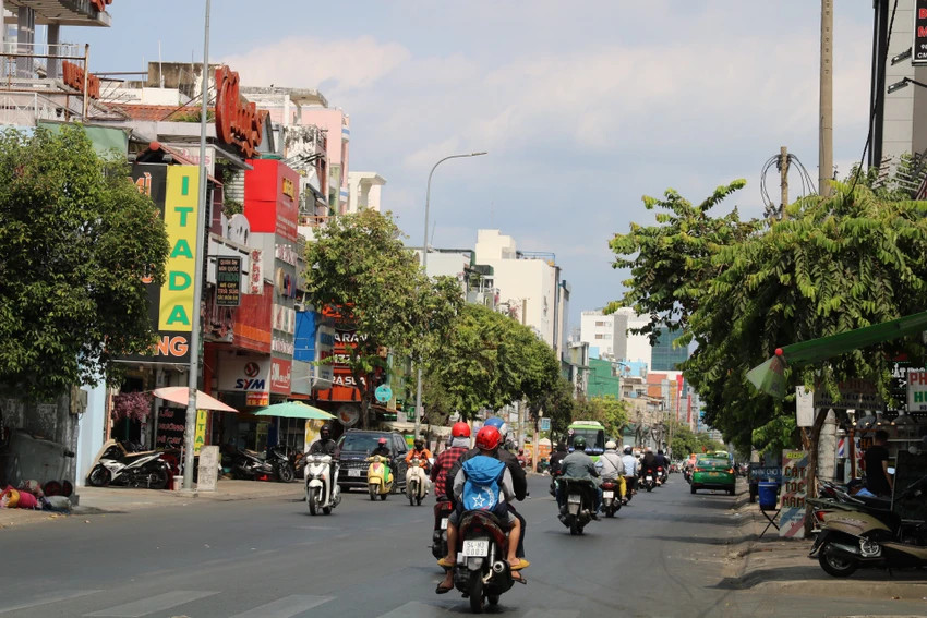 TP. Hồ Chí Minh: 453 cây xanh sẽ bị di dời và đốn hạ để thực hiện tuyến Metro số 2