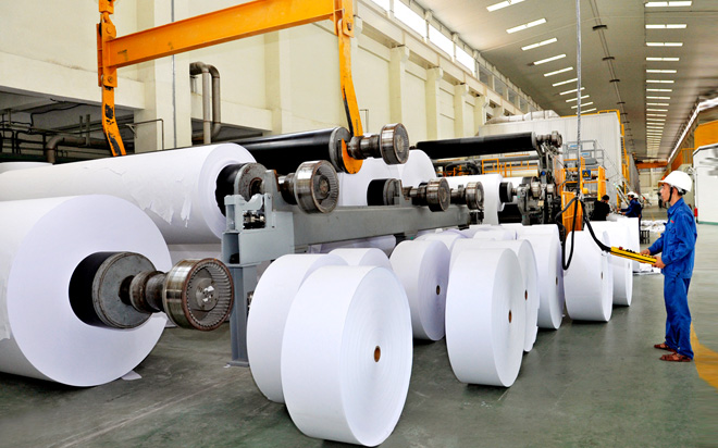 Ngành công nghiệp giấy Việt Nam đang dẫn đầu Đông Nam Á