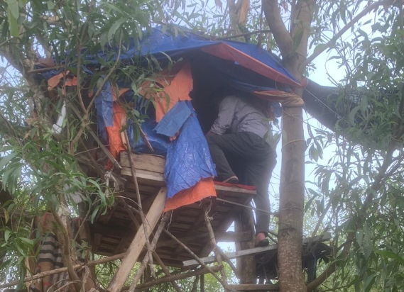 Quảng Trị: Triệt phá đường dây mua bán ma túy tinh vi, ngụy trang lán trại trên cây
