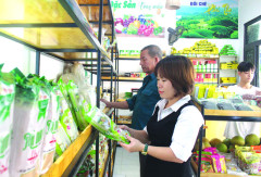 Phú Thọ: Sản phẩm OCOP thúc đẩy phát triển kinh tế nông thôn