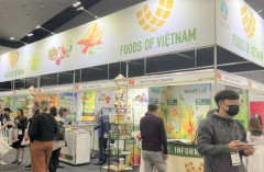 Quảng bá nông sản Việt tại Hội chợ Foodservice Australia 2024